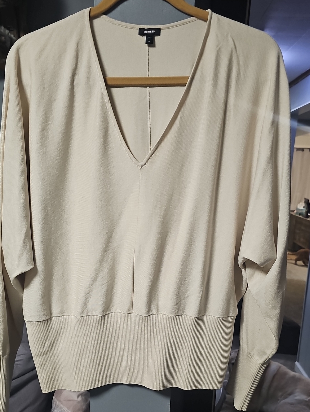 Express Women's V-Neck Pullover Sweater in Cream